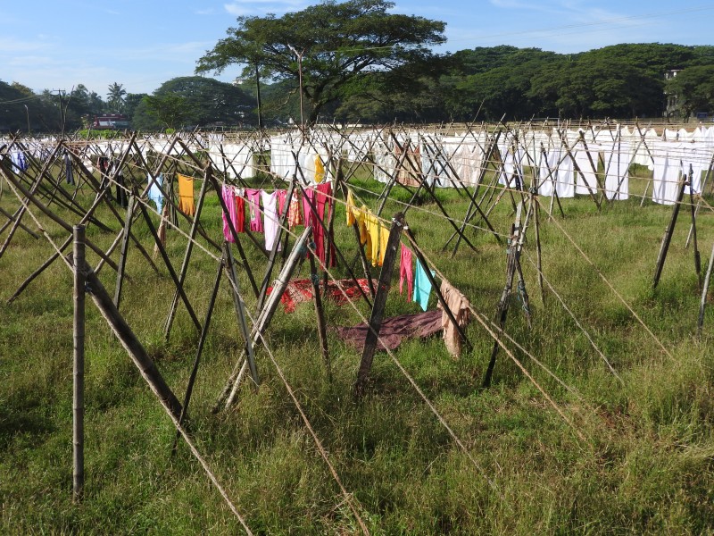 31 COCHIN Lavanderia